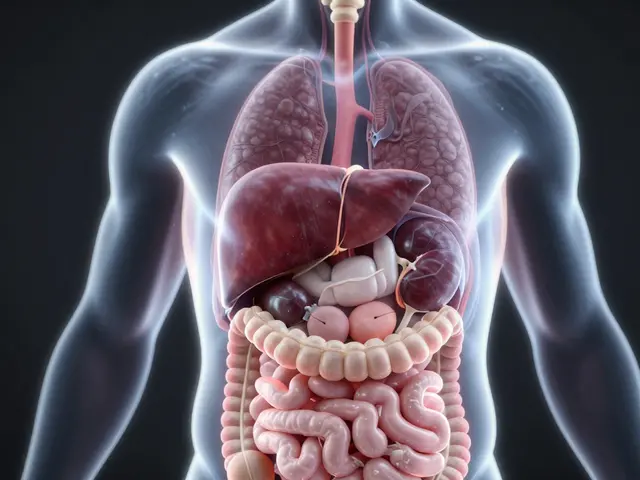 Jak se zbavit toxinů: Ověřené metody detoxikace těla a játer